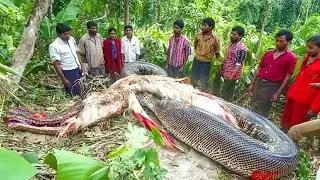 Scary Jungle Discoveries That Can NOT Be Explained
