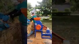 Mỗi ng&agrave;y một ch&uacute;t t&iacute;ch lũy nguồn thu nhập từ vỏ dừa sẽ gi&uacute;p bạn th&agrave;nh c&ocirc;ng | M&aacute;y băm xơ dừa B250