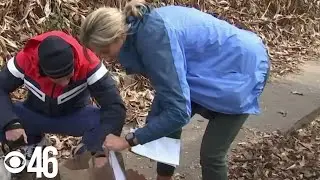 Hundreds of pieces of mail dumped in Atlanta neighborhood ravine