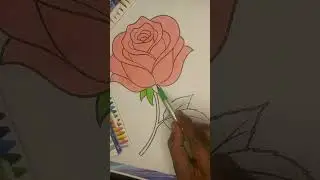 Rose 🌹 #drawing #ytshorts #art #painting #shorts #shortvideo #short #shortsfeed
