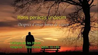 Horis peráctis úndecim / Horis peractis undecim