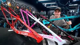 Finalmente! Comprei Todos Os Quadros de Grau HUPI NAJA …