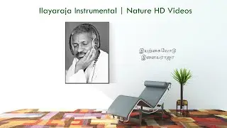 Ilayaraja Instrumental Music with Nature Videos | Tamil Songs Instrumental Music | Relax Music