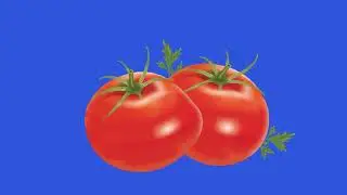 ZOOM tomato green screen/ vegetable ANIMATION tomato green screen