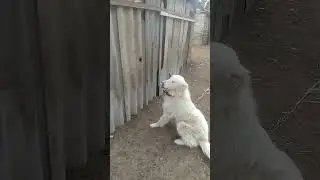 beraza eğitim