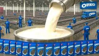 JAK POWSTAJĄ CIASTECZKA OREO 🍪 | PROCES FABRYCZNY 🏭