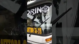 Padrino cutout sticker 👌#sticker #decalssticker