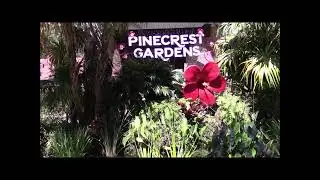 Pinecrest Gardens Walking Tour Part One
