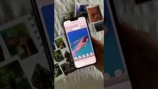 Artivive Tutorial