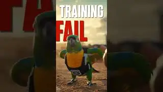 &ldquo;Parrot Drill Sergeant DESTROYS Police Training! 😂🦜🚓&rdquo; #Parrots #police #cops #funny #fypp