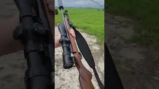 мои две любимые винтовки с кольцевым воспламенением #gun #22lr #rimfire #rifle