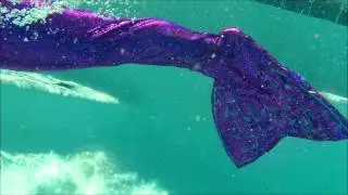 Real Swimming Mermaids for Your Special Event | by Glam Haus Entertainment