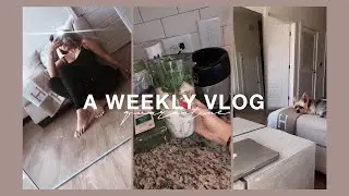 WEEKLY [quarantine] VLOG: essential errands, cooking pho, trying to make dalgona coffee