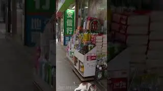 Tai Kok Tsui #shorts  #hongkongwalk