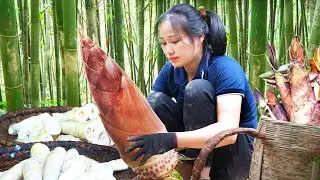 Single mom Harvests Fresh Bamboo Shoots - Process & Preservation in long-term | Phuc An Daily Life