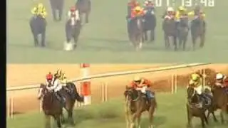 The Indian 2000 Guineas 2011