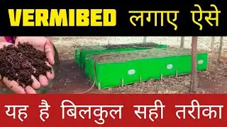 Vermibed लगाने का एकदम सही तरीका ।  how to install vermibed । vermicompost