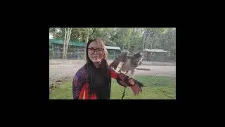 Kepri Coral Island Batam 🪸 Part 2