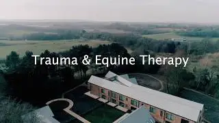 What is Equine Therapy? And how can it help in addiction treatment?