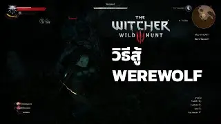 วิธีปราบมนุษย์หมาป่า (Werewolf) - The Witcher 3 Wild Hunt Next Gen