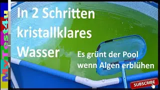 Pool gr&uuml;n ? Kein Problem , nur 2 Schritte zum Erfolg !