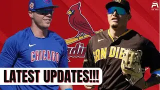 St. Louis Cardinals Trade Rumors ESCALATING... | Daily St. Louis Cardinals News & Rumors