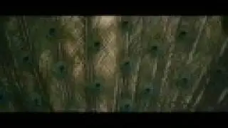 30 Amazing Bird Species in 1 Video