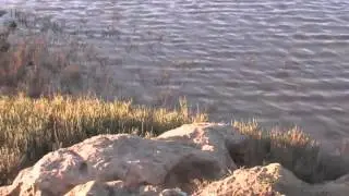 Hawelt Nensak