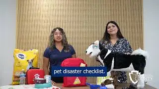 Build Your Pet Emergency Kit