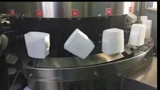 Bottle Unscrambler - Posibot & Rinser
