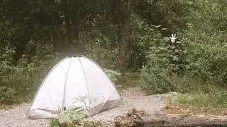Camping Trip (2022) Accepted Application Film: Chapman, Emerson, UCSD, UCSC