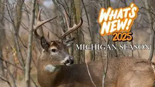 Michigan Deer Season Changes 2025 &ndash; What&rsquo;s Different from Last Year