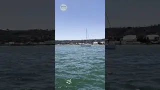 【#Shorts】 San Diego SEAL Tours - Sea and Land Adventures
