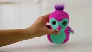 Hatchimals - Como ele cresceu!