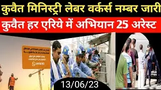 Kuwait labour warkers emergency Nambar ! Kuwait Moi high checking news Hindi Urdu