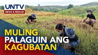 Higit 500 tree seedlings, itinanim ng University of Cagayan Valley law students