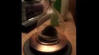 20171119 2011151