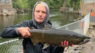 Oak Orchard SALMON FISHING!!!