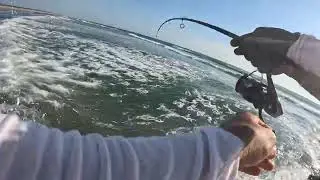 Pesca de pargo rojo