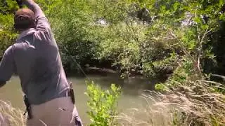 Pesca con mosca. Dorados y Pira Pitaes con mosca secas. Tips de pesca