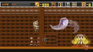 The Revenge of Shinobi #Final - Base do Neo Zeed