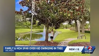 Magnolia tree dispute in Orlando sparks social media uproar