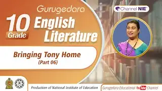 Bringing Tony Home - Part 06 - Novella - Grade 11 (English Literature)