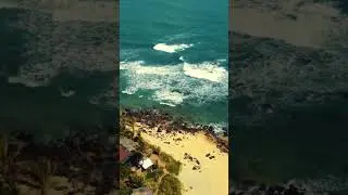 PIPA - BRASIL 🇧🇷