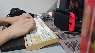 Lynn whale typing test