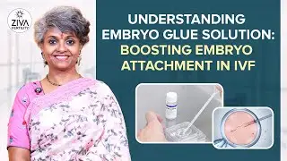 Embryo Transfer With Embryo Glue In IVF | IVF Success Tips | Dr C Suvarchala | Ziva