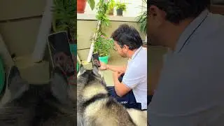 Pet Problem? Instant Vet Help Online | First 2 Consultations FREE 🐾
