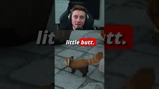 New Player is Broken by Red Panda Minion in FFXIV