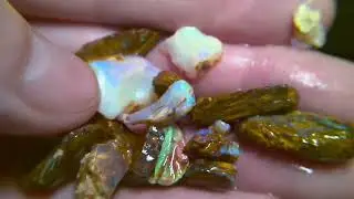 920cts pipe, opalized wood fossil boulder opal rough parcel
