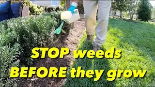 How to STOP weeds from growing in your natural areas